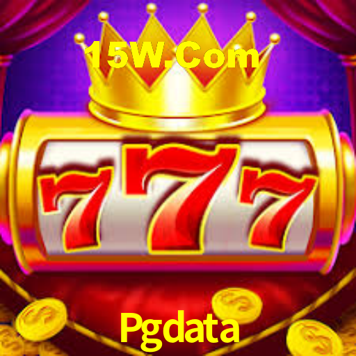 Explore as vantagens do Pgdata: serviço profissional e confiabilidade