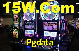 Programa VIP Pgdata