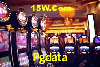 Pgdata Salvador - Statistics