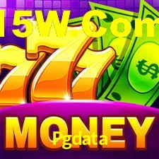 VIP Casino Pgdata